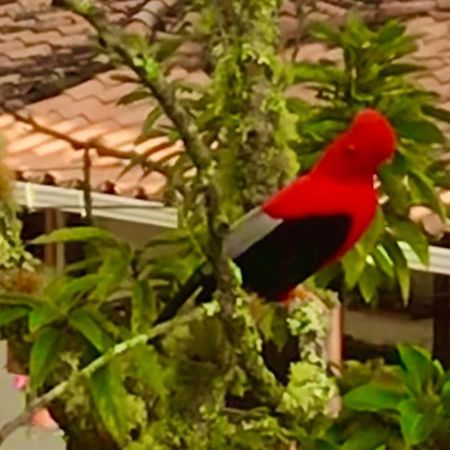 Appartement Casablanca à Jardín Extérieur photo